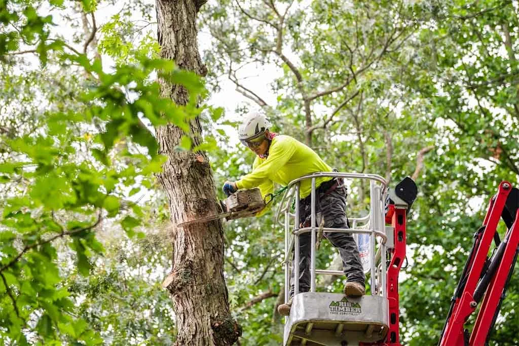 Big Timber crew member cutting from a bucket