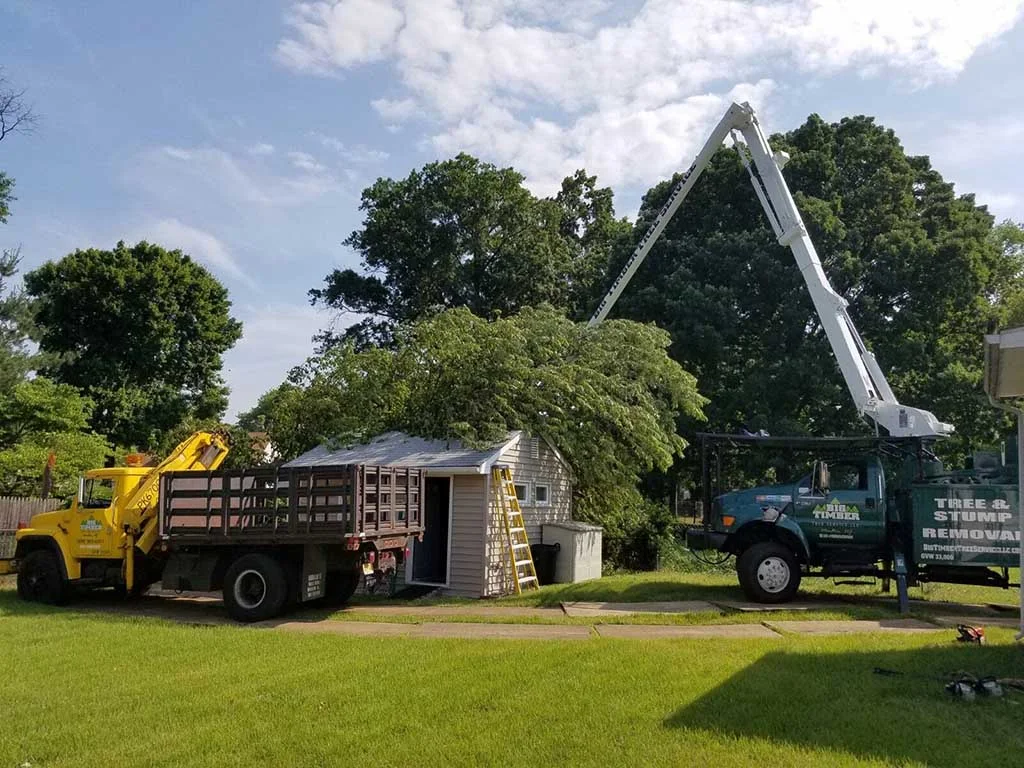 Big Timber bucket truck and dump truck at a house