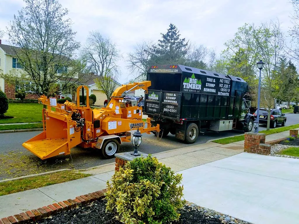 Big Timber Tree Service truck and chipper on a residential job